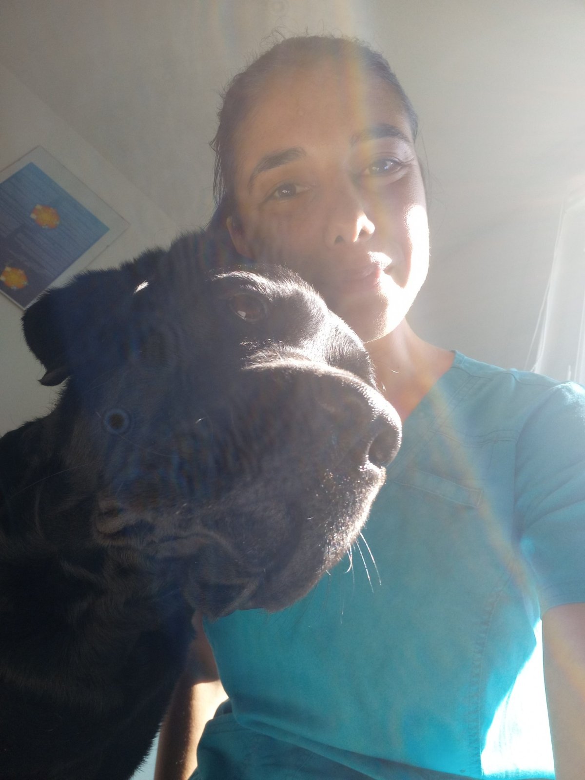 DE LISBONNE À FONTAINEMELON: MON CHEMIN DE VÉTÉRINAIRE 