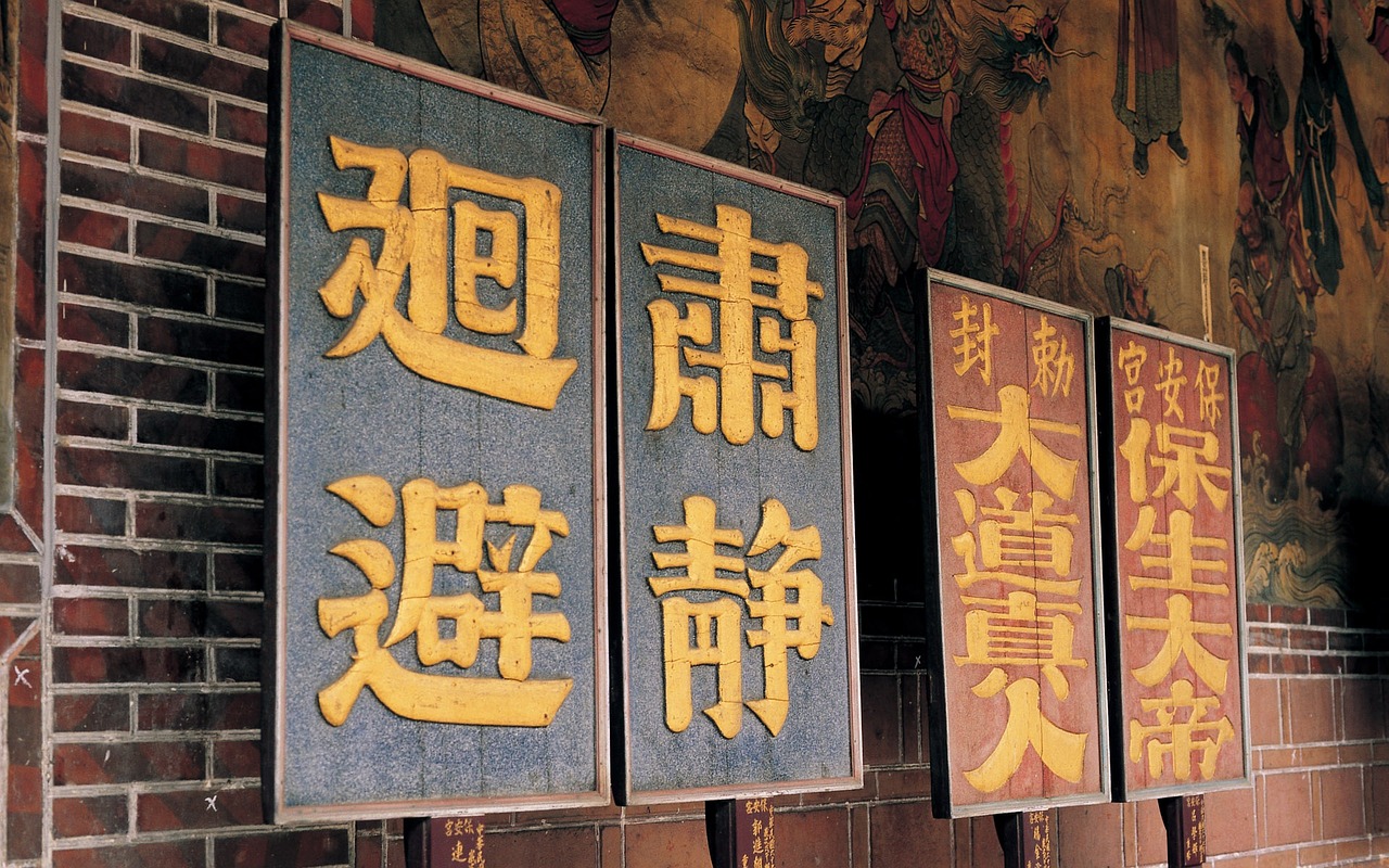L'UNIVERS DE LA MÉDECINE TRADITIONNELLE CHINOISE (MTC) APPLIQUÉE AUX ANIMAUX 