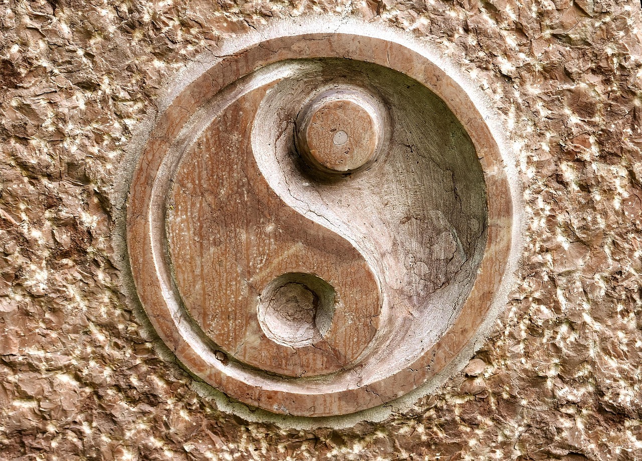 LA TRANSITION DU YIN AU YANG 