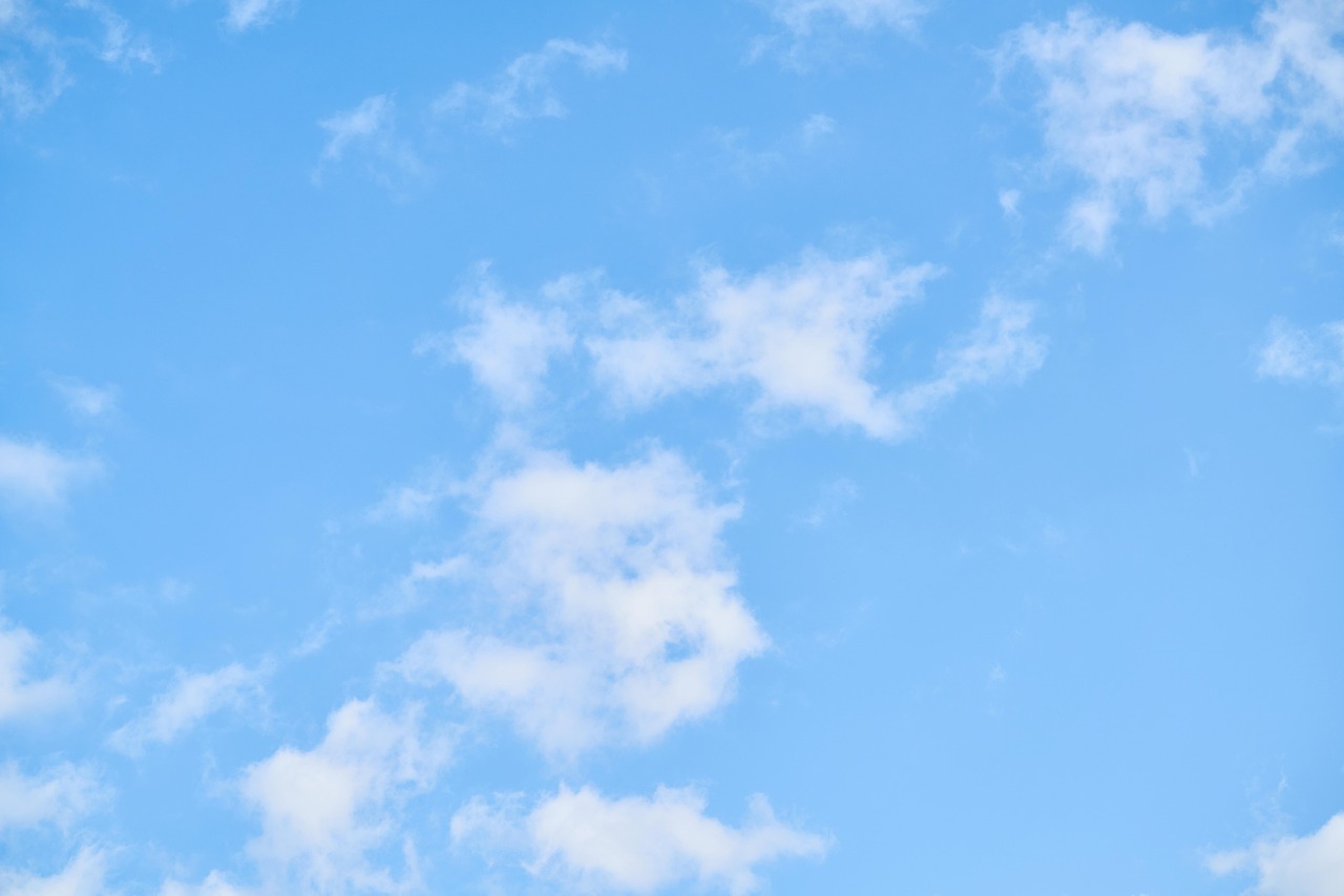 2025 : L’innovation au service du bien-être animal chez Marvet 