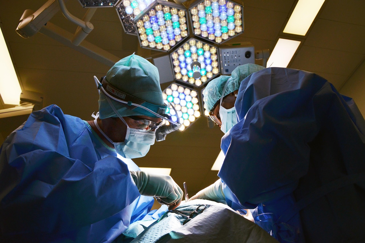 LA CHIRURGIE VÉTÉRINAIRE, QU’EST-CE QUE C’EST? 